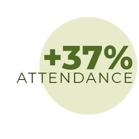 +37% attendance