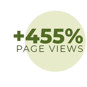 +455% page views